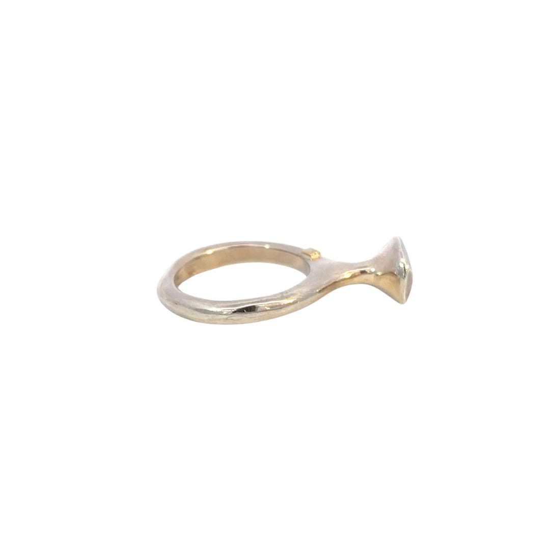 Anello "RAW"